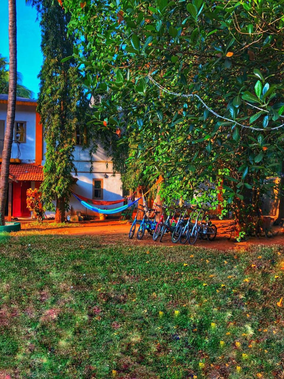 Red Door Hostel אנג'ונה מראה חיצוני תמונה